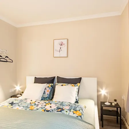 Cozy - New - Modern *