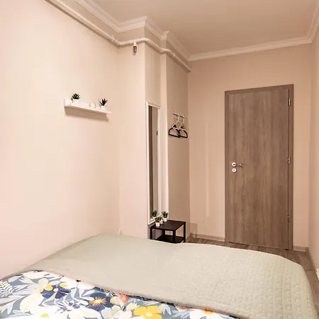 Cozy - New - Modern *