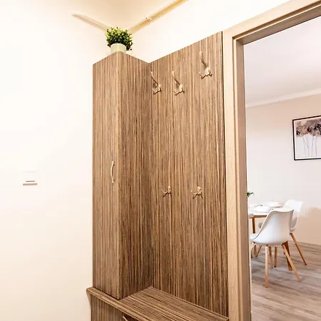 Cozy - New - Modern