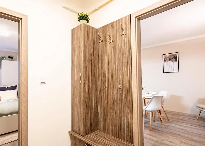 Cozy - New - Modern